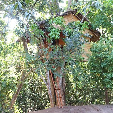 Tree House-Midigama Villa Weligama Ngoại thất bức ảnh
