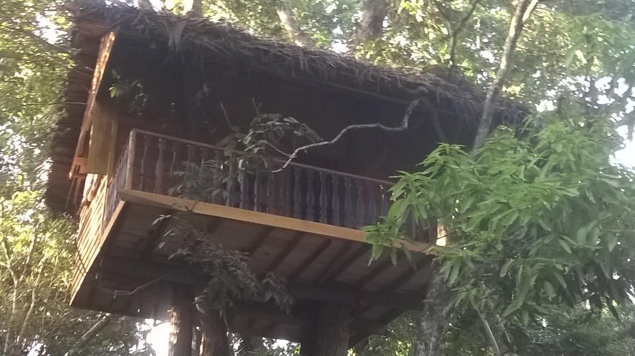 Tree House-Midigama Villa Weligama Ngoại thất bức ảnh