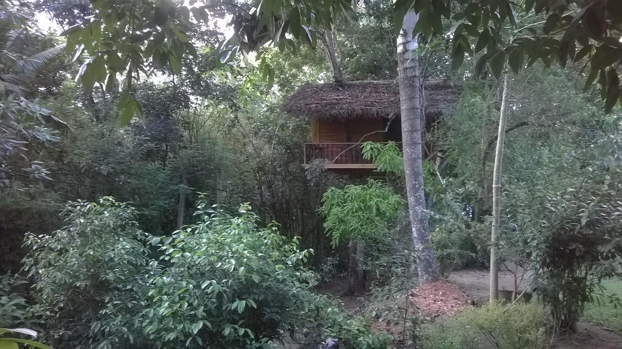 Tree House-Midigama Villa Weligama Ngoại thất bức ảnh