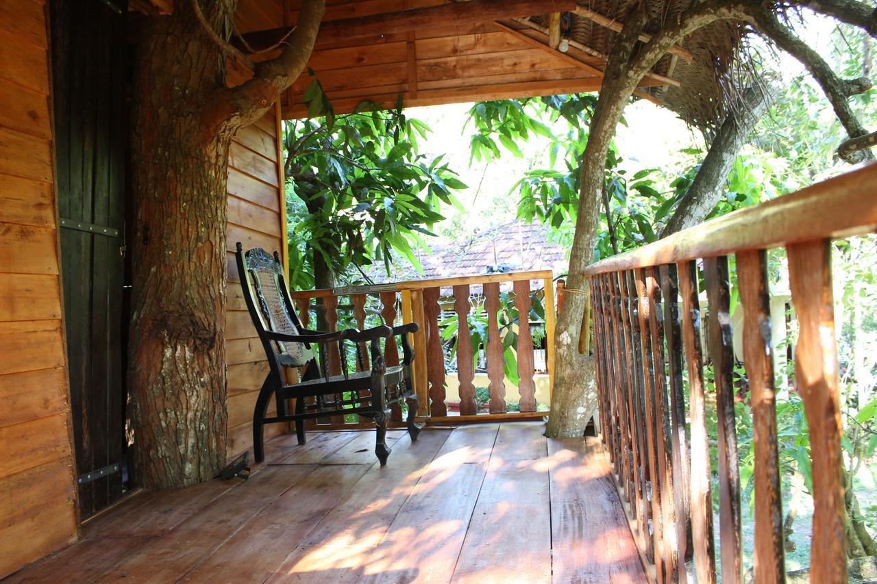 Tree House-Midigama Villa Weligama Ngoại thất bức ảnh