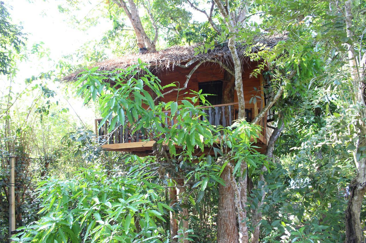 Tree House-Midigama Villa Weligama Ngoại thất bức ảnh