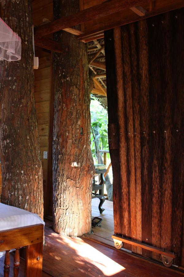 Tree House-Midigama Villa Weligama Ngoại thất bức ảnh