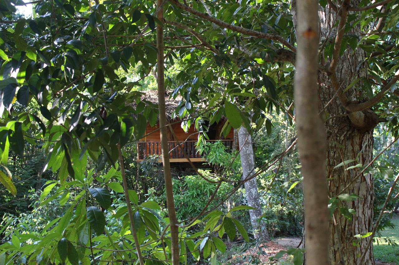 Tree House-Midigama Villa Weligama Ngoại thất bức ảnh