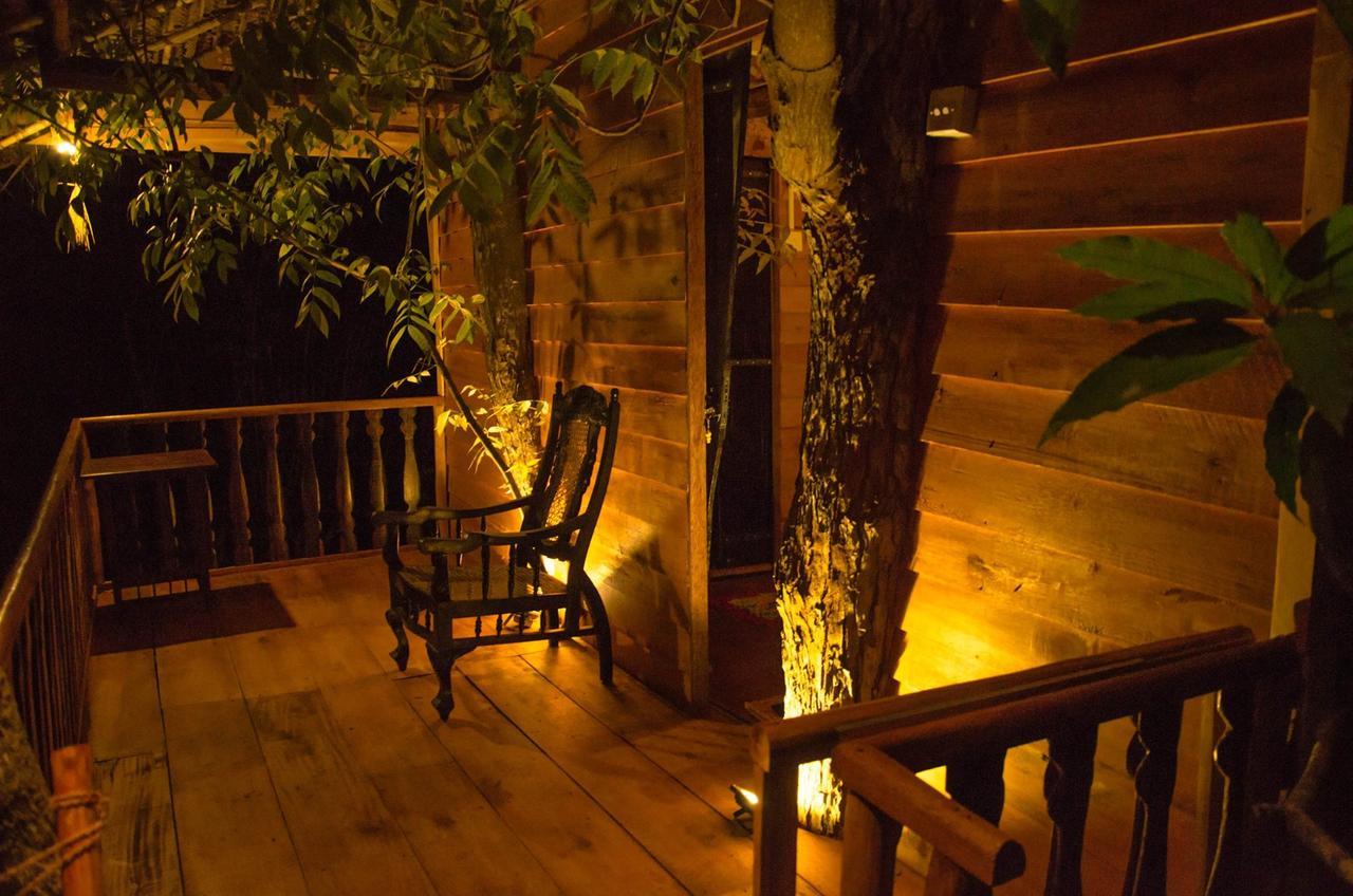 Tree House-Midigama Villa Weligama Ngoại thất bức ảnh