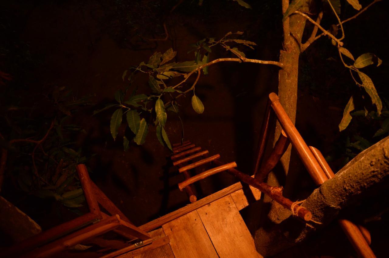 Tree House-Midigama Villa Weligama Ngoại thất bức ảnh