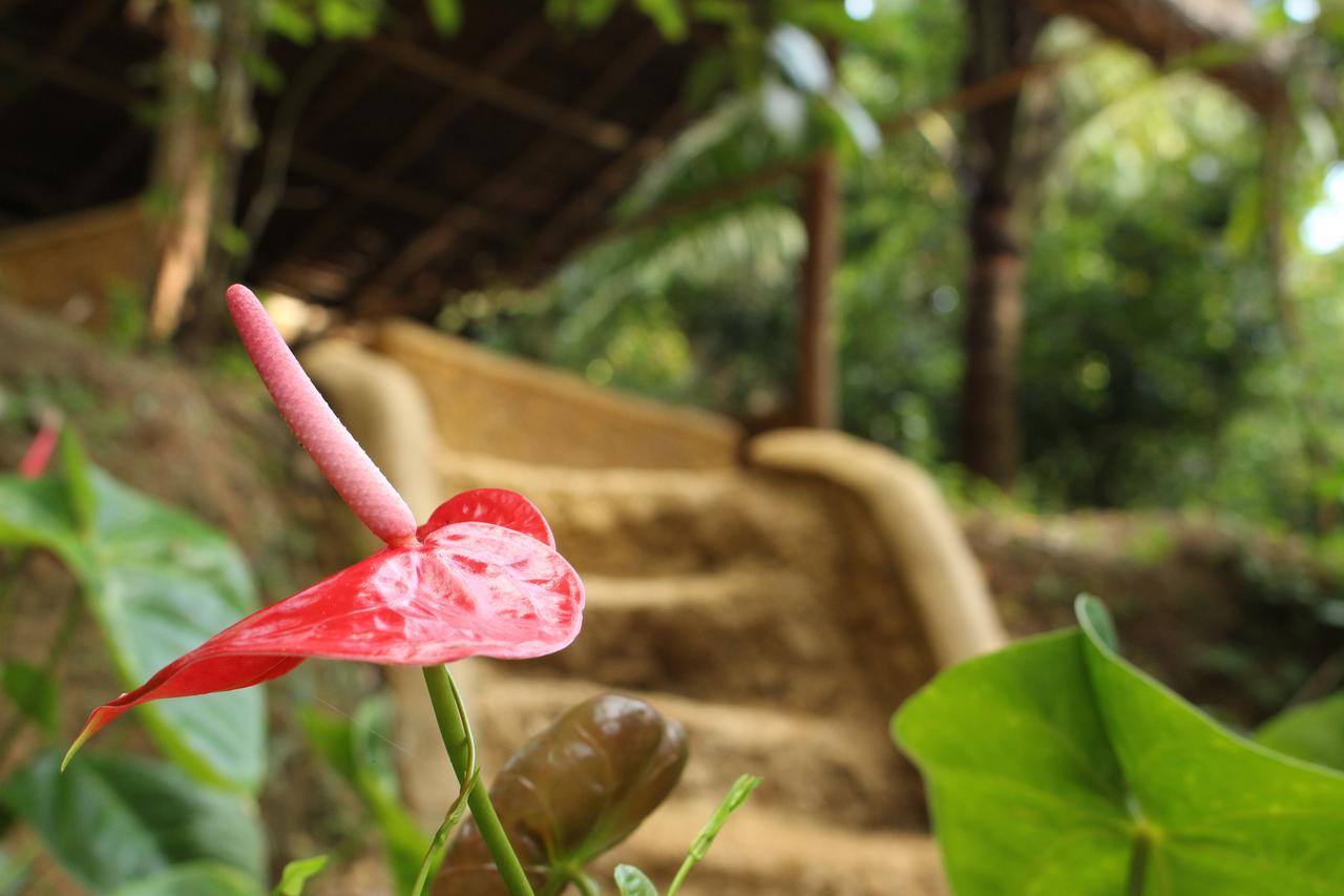 Tree House-Midigama Villa Weligama Ngoại thất bức ảnh