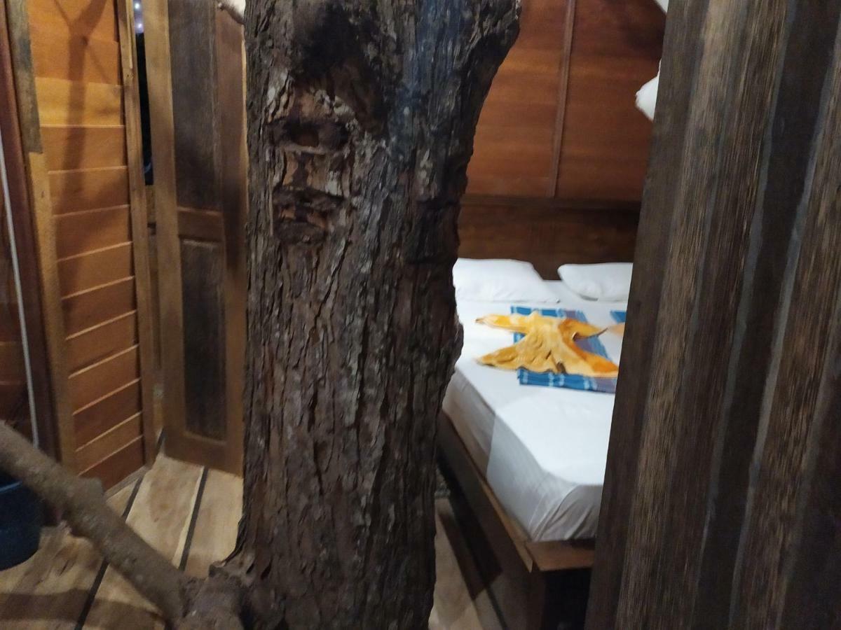 Tree House-Midigama Villa Weligama Ngoại thất bức ảnh