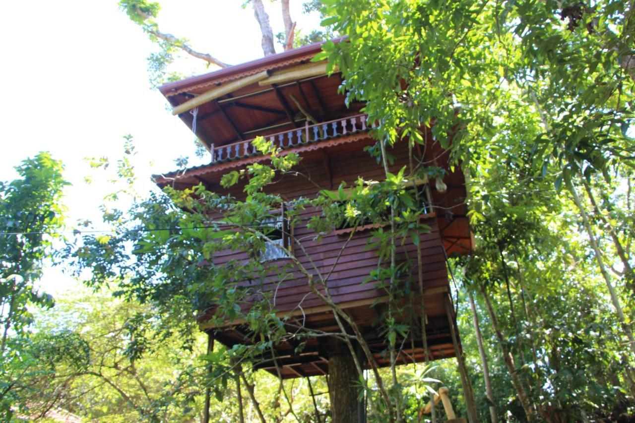Tree House-Midigama Villa Weligama Ngoại thất bức ảnh