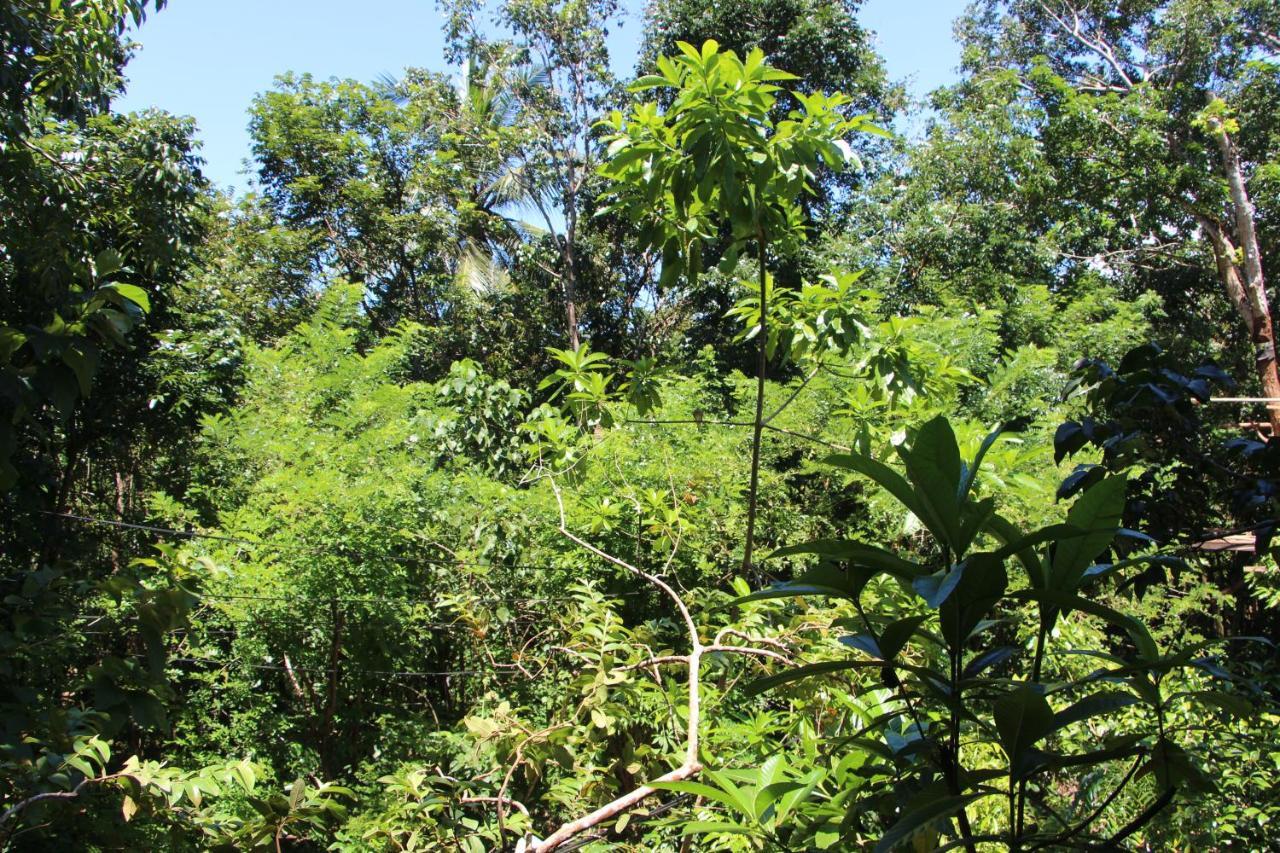 Tree House-Midigama Villa Weligama Ngoại thất bức ảnh