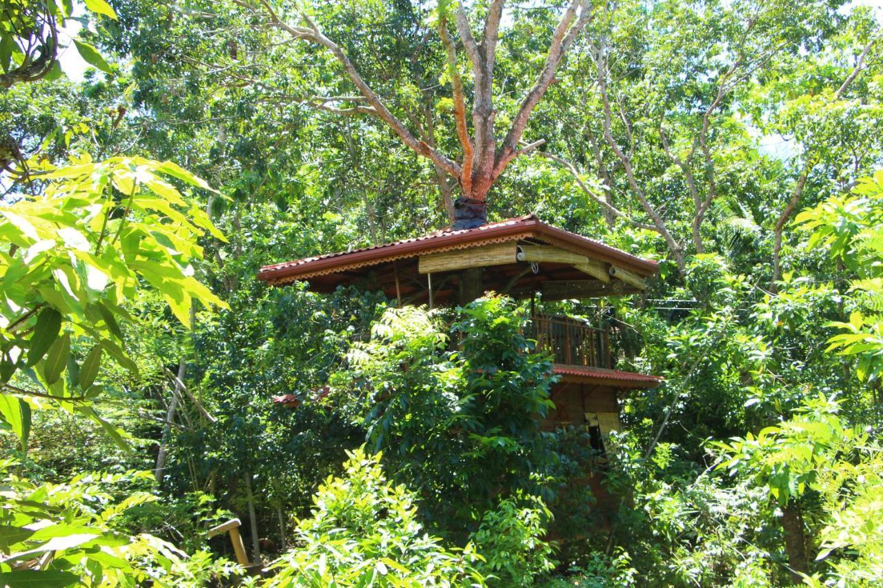 Tree House-Midigama Villa Weligama Ngoại thất bức ảnh