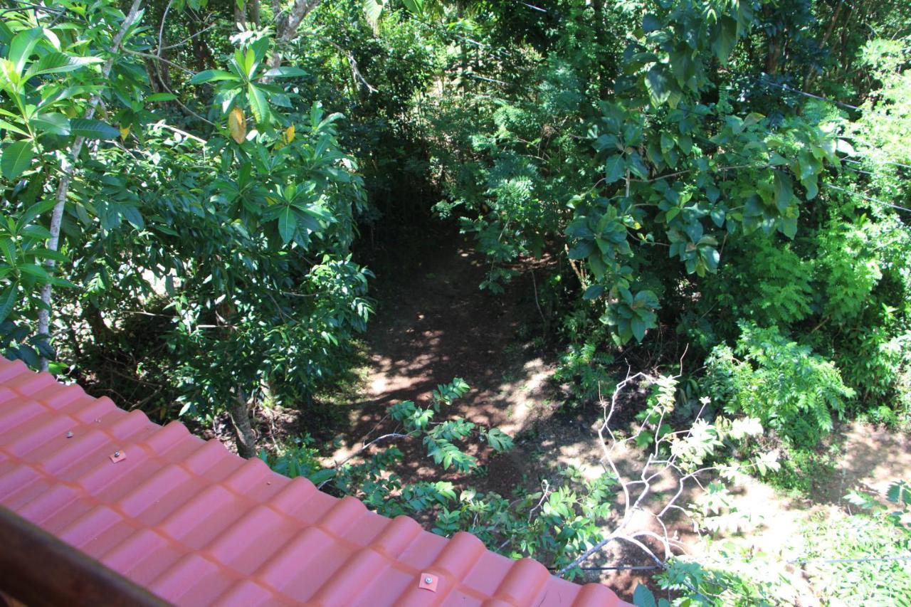 Tree House-Midigama Villa Weligama Ngoại thất bức ảnh