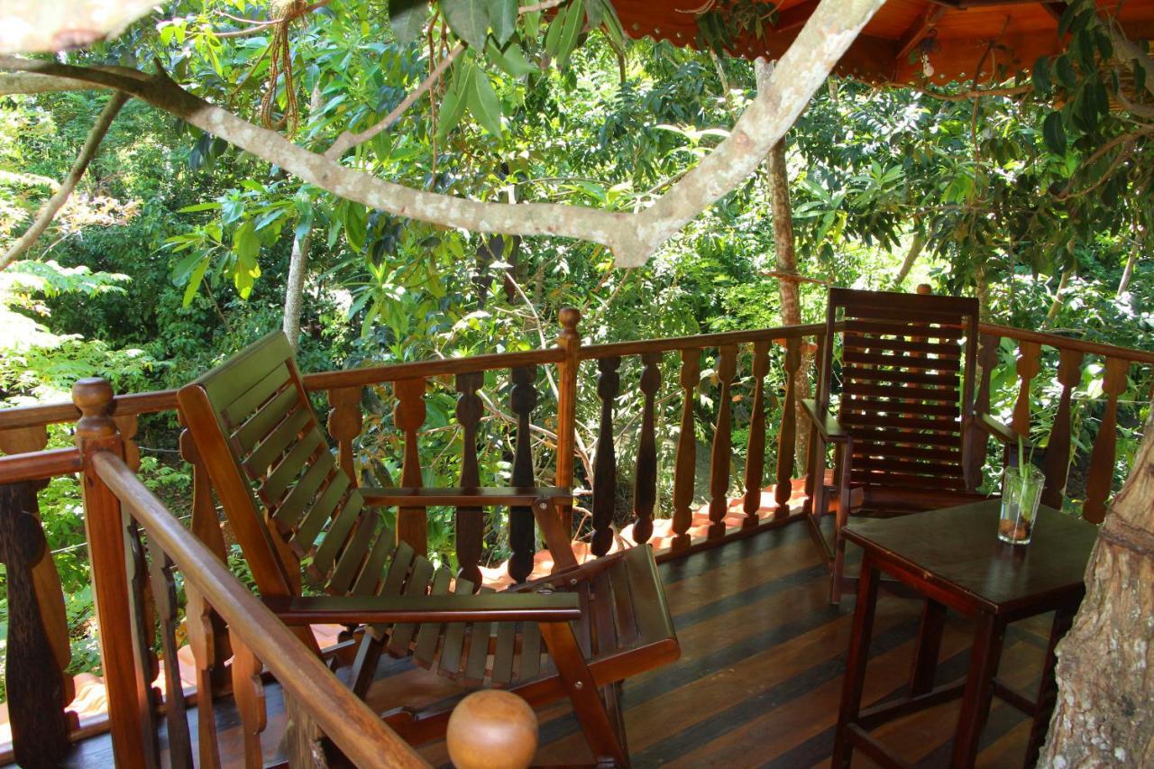 Tree House-Midigama Villa Weligama Ngoại thất bức ảnh