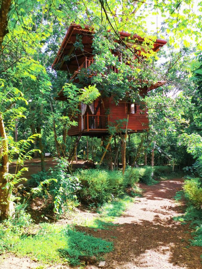 Tree House-Midigama Villa Weligama Ngoại thất bức ảnh