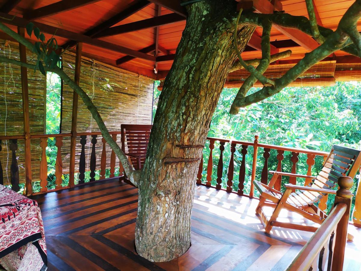 Tree House-Midigama Villa Weligama Ngoại thất bức ảnh